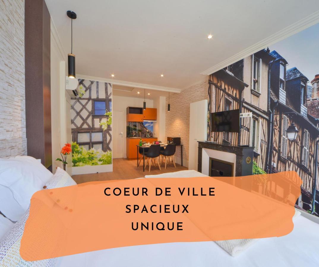 Puits De Jouvence, Au Coeur Des Commerces Bourges Ngoại thất bức ảnh